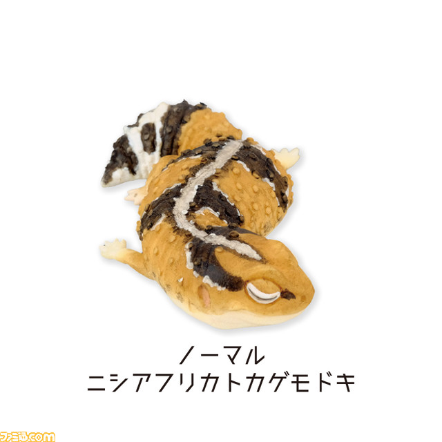 爬虫類の寝ている姿を再現したフィギュアカプセルトイが発売！ ラインアップはニシアフリカトカゲモドキ3匹とフトアゴヒゲトカゲ3匹の計6種