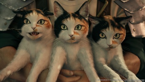 【スーパー猫の日】ゲームに登場するネコをたくさん集めました。あなたの好きなネコはどれ?