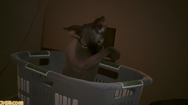 【スーパー猫の日】ゲームに登場するネコをたくさん集めました。あなたの好きなネコはどれ？