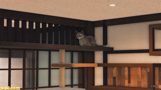 【スーパー猫の日】ゲームに登場するネコをたくさん集めました。あなたの好きなネコはどれ？