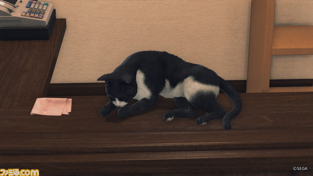 【スーパー猫の日】ゲームに登場するネコをたくさん集めました。あなたの好きなネコはどれ？