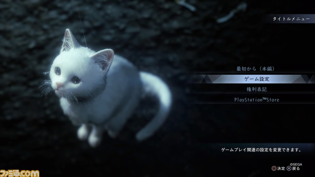 【スーパー猫の日】ゲームに登場するネコをたくさん集めました。あなたの好きなネコはどれ？
