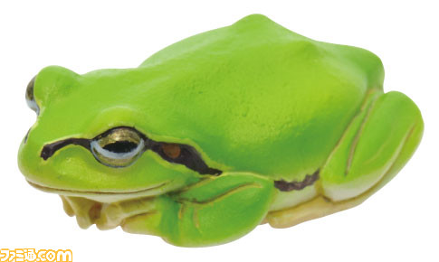 まるで本物！ 『アマガエルマグネット＆ボールチェーン』が3/3カプセル自販機にて発売。実寸サイズで精巧な造形と質感のハイクオリティな仕上がりに