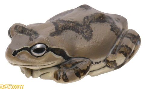 まるで本物！ 『アマガエルマグネット＆ボールチェーン』が3/3カプセル自販機にて発売。実寸サイズで精巧な造形と質感のハイクオリティな仕上がりに