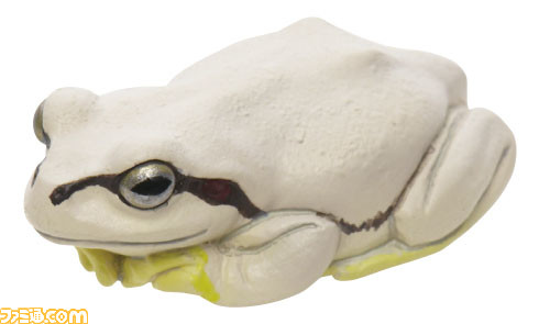 まるで本物！ 『アマガエルマグネット＆ボールチェーン』が3/3カプセル自販機にて発売。実寸サイズで精巧な造形と質感のハイクオリティな仕上がりに