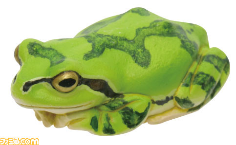まるで本物！ 『アマガエルマグネット＆ボールチェーン』が3/3カプセル自販機にて発売。実寸サイズで精巧な造形と質感のハイクオリティな仕上がりに