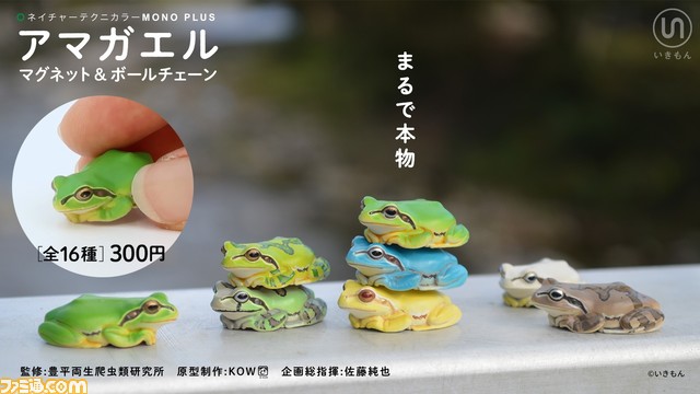 まるで本物！ 『アマガエルマグネット＆ボールチェーン』が3/3カプセル自販機にて発売。実寸サイズで精巧な造形と質感のハイクオリティな仕上がりに