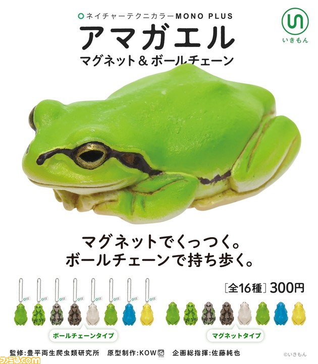 まるで本物！ カプセルトイ“アマガエルマグネット＆ボール