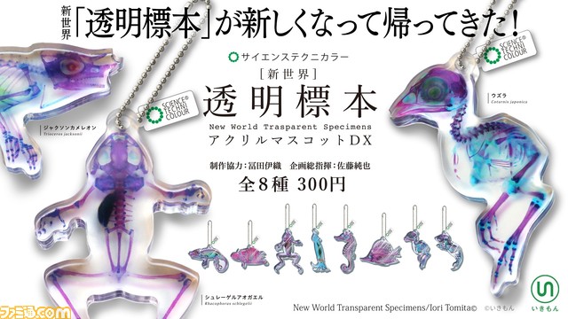 スルメイカやジャクソンカメレオンなど透明感あふれるアクリルマスコットがリニューアルして登場。3月24日より全国のカプセル自動販売機にて発売