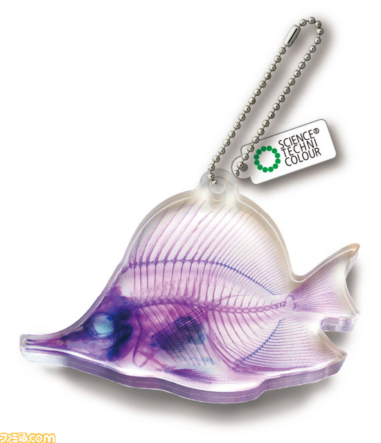 スルメイカやジャクソンカメレオンなど透明感あふれるアクリルマスコットがリニューアルして登場。3月24日より全国のカプセル自動販売機にて発売