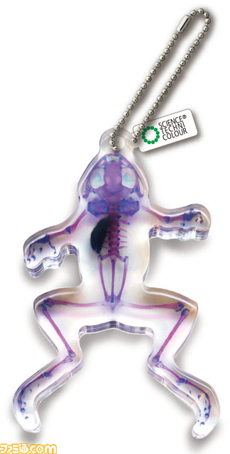 スルメイカやジャクソンカメレオンなど透明感あふれるアクリルマスコットがリニューアルして登場。3月24日より全国のカプセル自動販売機にて発売