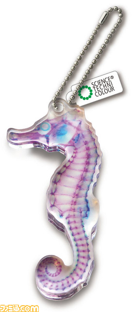 スルメイカやジャクソンカメレオンなど透明感あふれるアクリルマスコットがリニューアルして登場。3月24日より全国のカプセル自動販売機にて発売