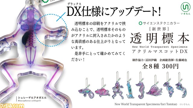 スルメイカやジャクソンカメレオンなど透明感あふれるアクリルマスコットがリニューアルして登場。3月24日より全国のカプセル自動販売機にて発売