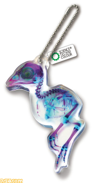 スルメイカやジャクソンカメレオンなど透明感あふれるアクリルマスコットがリニューアルして登場。3月24日より全国のカプセル自動販売機にて発売