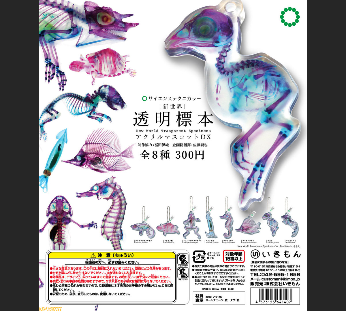 スルメイカやジャクソンカメレオンなど透明感あふれるアクリル