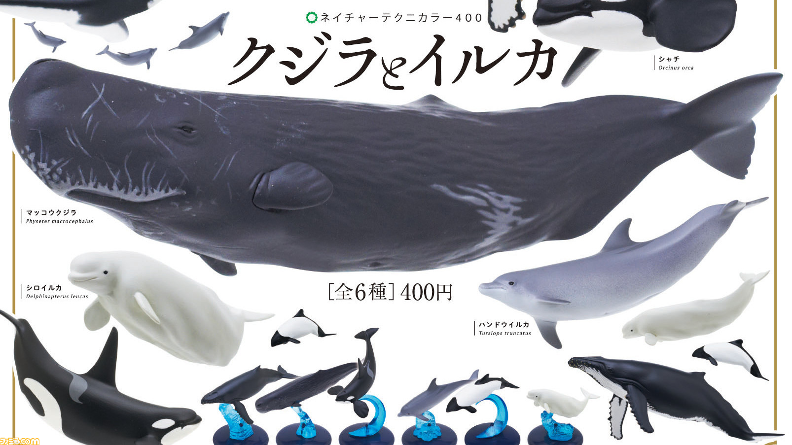 クジラとイルカのミニフィギュアが全国のカプセルトイにて発売。雄大に海を泳ぐようなリアルな造形に癒やされる