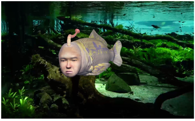 『シーマン』がカップコーヒー“マウントレーニア”で蘇る。QRコードを読み込むと美しいASMR映像とともにあの禁断のペットがランダムで登場