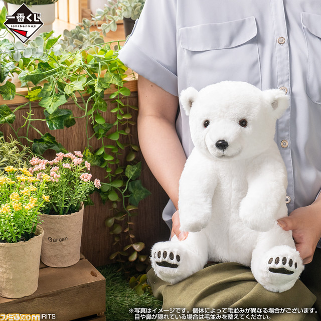 “一番くじ動物園 ～Ichiban Zoo～”本日発売。ライオン、パンダ、スナネコ、ゾウの赤ちゃんぬいぐるみほか、ふわふわカワイイ動物が勢ぞろい