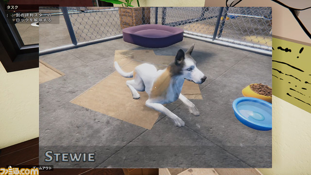 『Animal Shelter』不幸な動物たちを幸せにする経営シミュレーション【とっておきインディー】