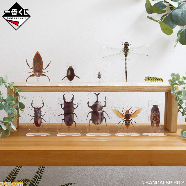 一番くじ『昆虫 世界の昆虫博物館』が本日（7/9）より発売。ヘラクレスオオカブトなどの超リアルなフィギュアがもらえる！