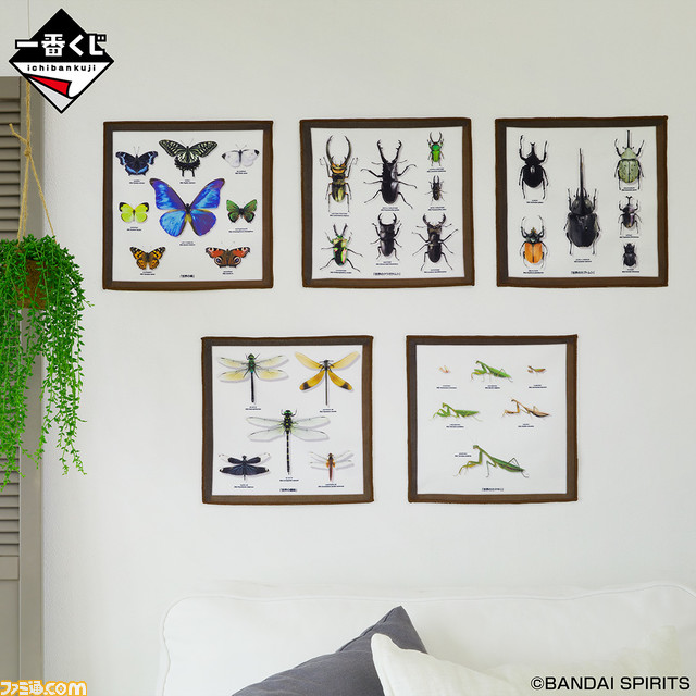 一番くじ『昆虫 世界の昆虫博物館』が本日（7/9）より発売。ヘラクレスオオカブトなどの超リアルなフィギュアがもらえる！