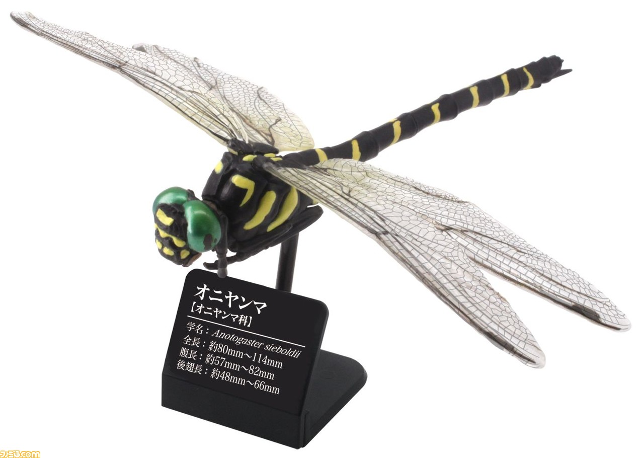 日本に生息する トンボ の実物大フィギュアのガチャが8月下旬に登場 翅脈の再現度がすごい ゲーム エンタメ最新情報のファミ通 Com 日本に生息する トンボ の実物大フィギュアのガチャが8月下旬に登場 翅脈の再現度がすごい ゲーム エンタメ最新情報のファミ通 Com