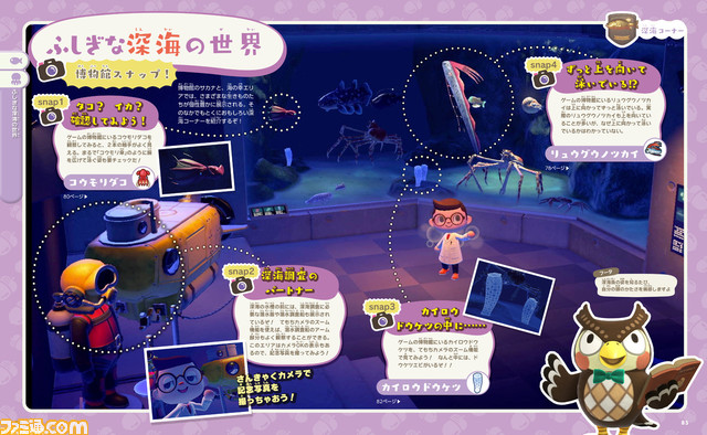 『あつ森 島の生きもの図鑑』が本日（7/29）発売。ゲームに登場したムシ・サカナ・海の幸・かせきを徹底解説。ゲームと現実両方の視点から楽しめる1冊