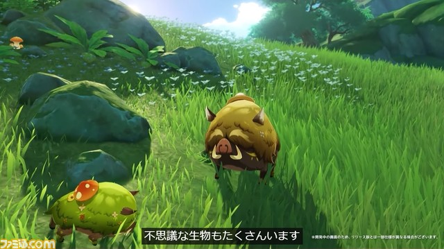 『原神』スメールプレビュー動画03が公開。ヒナーダ、アルハイゼン、ディシア、ニィロウたち新キャラクターの姿も!