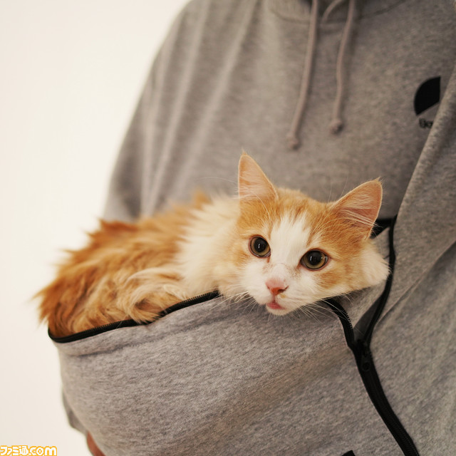 【世界猫の日】にゃんガルーパーカー2在庫入荷。猫が入れる大きなポケットを搭載したパーカーを着て、涼しい部屋で猫と一緒の幸せな時間を満喫しよう