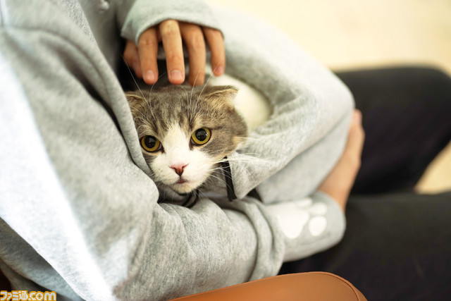 【世界猫の日】にゃんガルーパーカー2在庫入荷。猫が入れる大きなポケットを搭載したパーカーを着て、涼しい部屋で猫と一緒の幸せな時間を満喫しよう