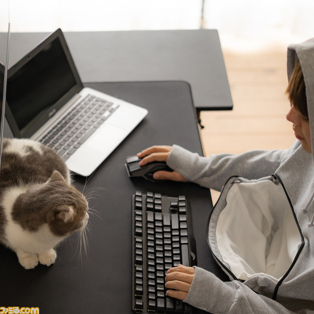 【世界猫の日】にゃんガルーパーカー2在庫入荷。猫が入れる大きなポケットを搭載したパーカーを着て、涼しい部屋で猫と一緒の幸せな時間を満喫しよう