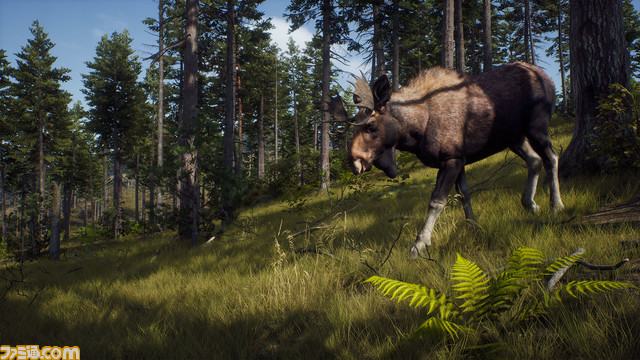 大自然でリアルな狩猟を楽しむ『Way of the Hunter ウェイ オブ ザ ハンター』がついに発売。発売にあわせてリリーストレーラーも公開