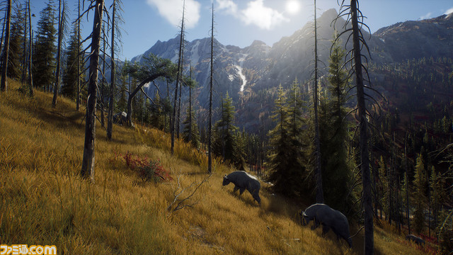 ハンティングゲーム『Way of the Hunter　ウェイ オブ ザ ハンター』PC版の不具合などを修正したアプデ情報を公開。PS5、Xbox版も順次対応予定