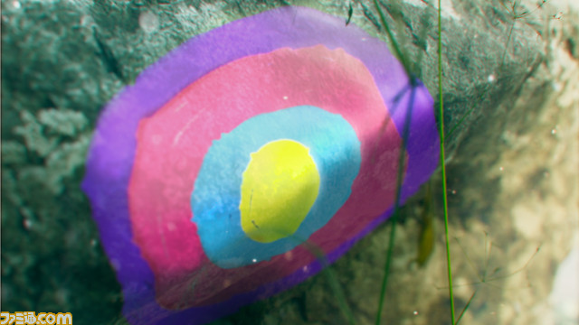 『ポケモン スカーレット・バイオレット』とある写真家のコレクションの一部が公開。木々に描かれた不思議な模様は、一体何を表すのか