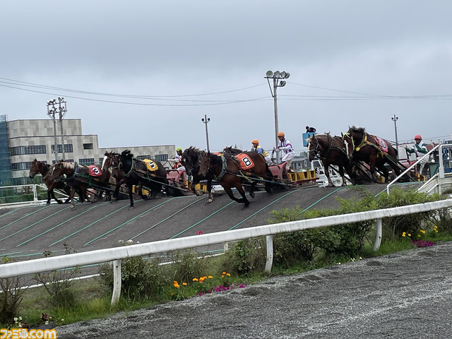 ウマ娘×帯広競馬場コラボイベントを現地取材。テイオーとゴルシが“ばんえい競馬”のふしぎを発見!?