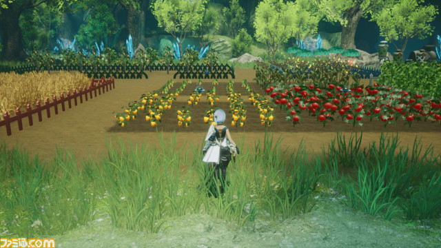 リフォーム屋_畑拡張_03