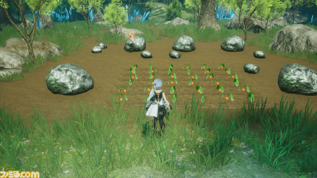 リフォーム屋_畑拡張_02