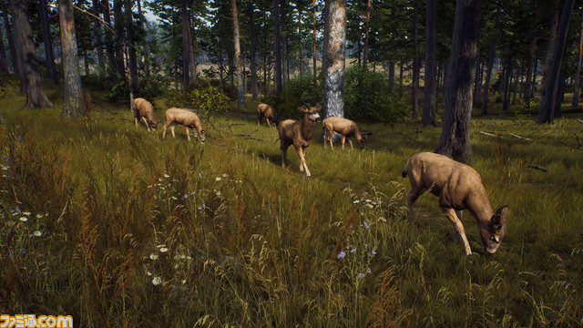 Real hunting game "Way of the Hunter" updated version is now available. Added new animals such as brown bears and fixed bugs