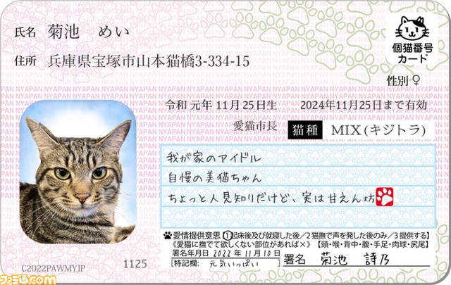 愛猫用オリジナル身分証明書“マイニャンバーカード”がリニューアルして本日（11/14）より販売開始。有効期限欄や署名年月日の変更などが可能に