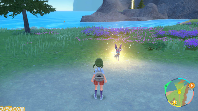 ニンフィアテラスタル