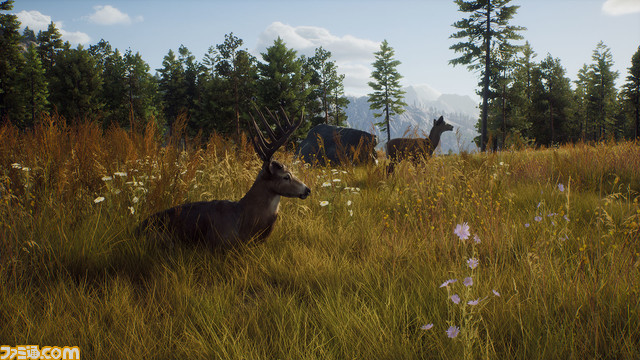 大自然でリアルなハンティング『Way of the Hunter　ウェイ オブ ザ ハンター』アップデート版配信開始