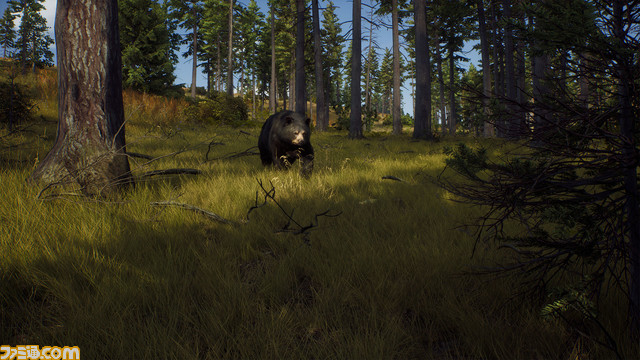 大自然でリアルなハンティング『Way of the Hunter　ウェイ オブ ザ ハンター』アップデート版配信開始