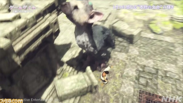 NHK『ゲームゲノム』総合演出担当インタビュー。レギュラー化に至った経緯や最終回の見どころ、今後の展開を直撃！