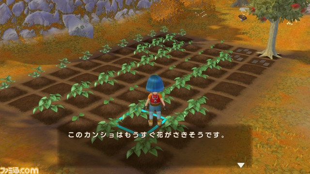 牧場経営は意外とシビア!? ほのぼのとした田舎でリアルな農業体験の先に待っていたものとは。『牧場物語 Welcome！ワンダフルライフ』プレイレビュー