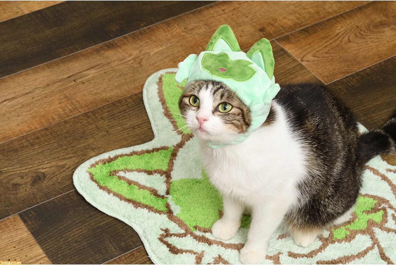 猫と一緒に暖まれる ポケット付きパーカー にゃ!にゃにゃ!ニャオハ 猫と一緒に暖まれる ポケット付きパーカー にゃ!にゃにゃ!ニャオハ