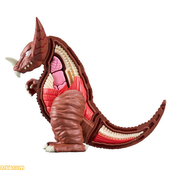 『ウルトラマン』古代怪獣“ゴモラ”が立体パズルシリーズ“解体パズル”に登場。内蔵や筋肉、骨、外皮など全40パーツを組み立てよう!