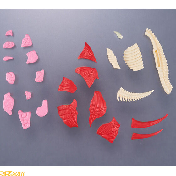 『ウルトラマン』古代怪獣“ゴモラ”が立体パズルシリーズ“解体パズル”に登場。内蔵や筋肉、骨、外皮など全40パーツを組み立てよう!