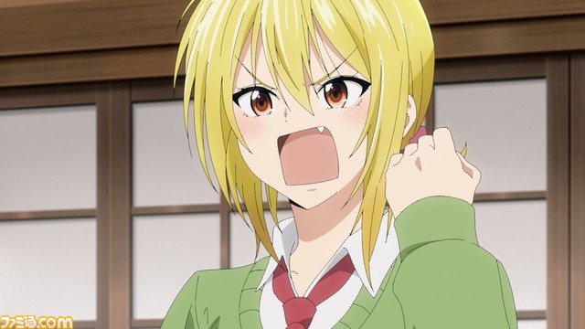 アニメ『てんぷる』が7月より放送。『ぐらんぶる』作画・吉岡公威が描く青春お寺ラブコメ。ヒロイン5人が歌うEDテーマも発表