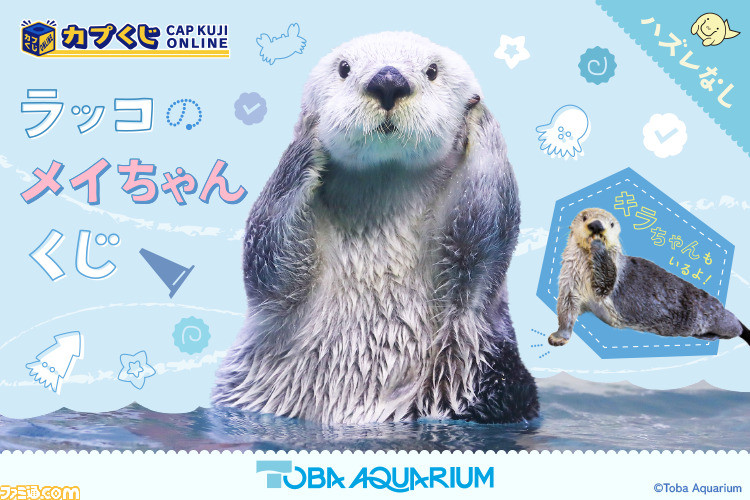 セール中！鳥羽水族館　カプくじ　メイちゃんポージングクッション