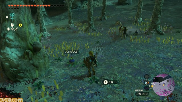 【ゼルダ ティアキン攻略】バクダン花の集め方【ティアーズ オブ ザ キングダム】